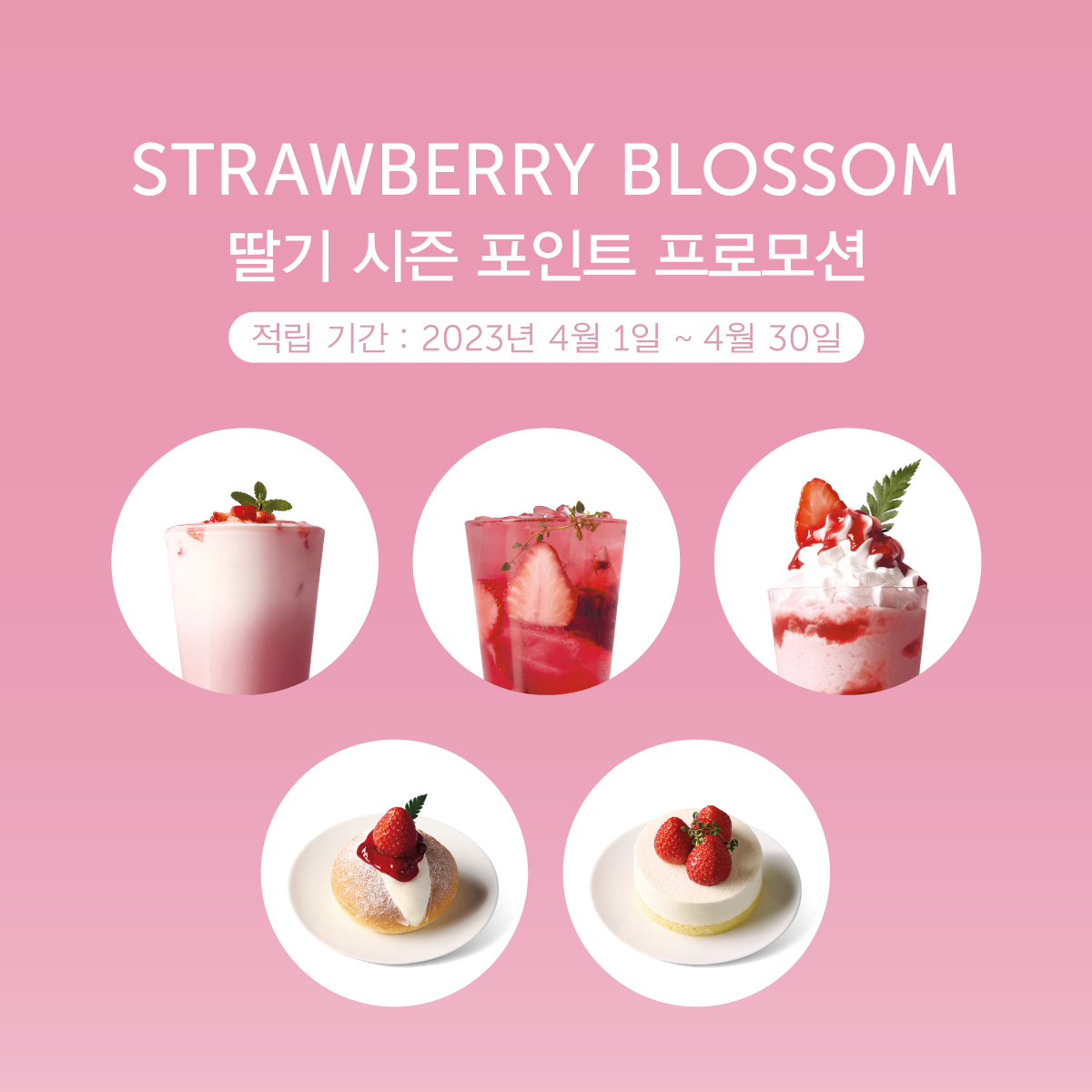 STRAWBERRY BLOSSOM 딸기 시즌 포인트 프로모션